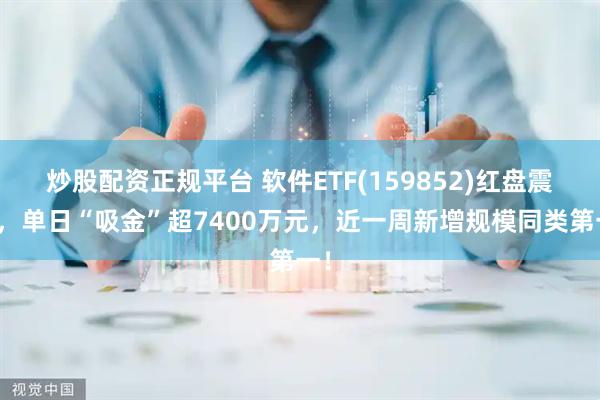 炒股配资正规平台 软件ETF(159852)红盘震荡，单日“吸金”超7400万元，近一周新增规模同类第一！
